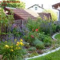 Blick_Ã¼ber_Blumenbeetanlage_09.07.2011