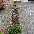 Eingang_Blumenbeet_24.07.2011